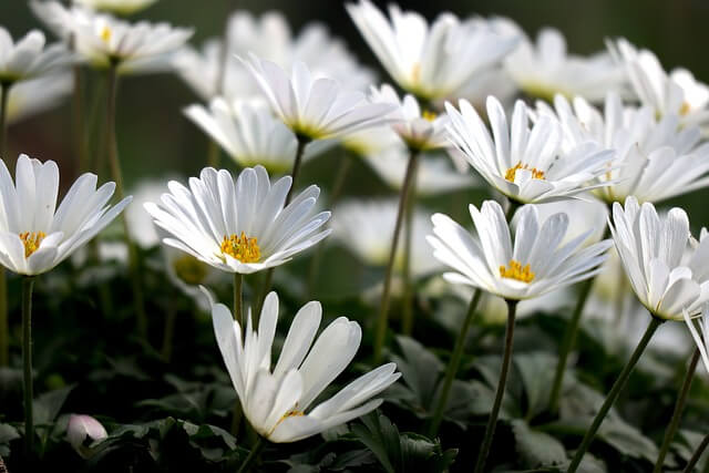 기후 변화와 소비자의 역할: 우리가 할 수 있는 작은 실천들