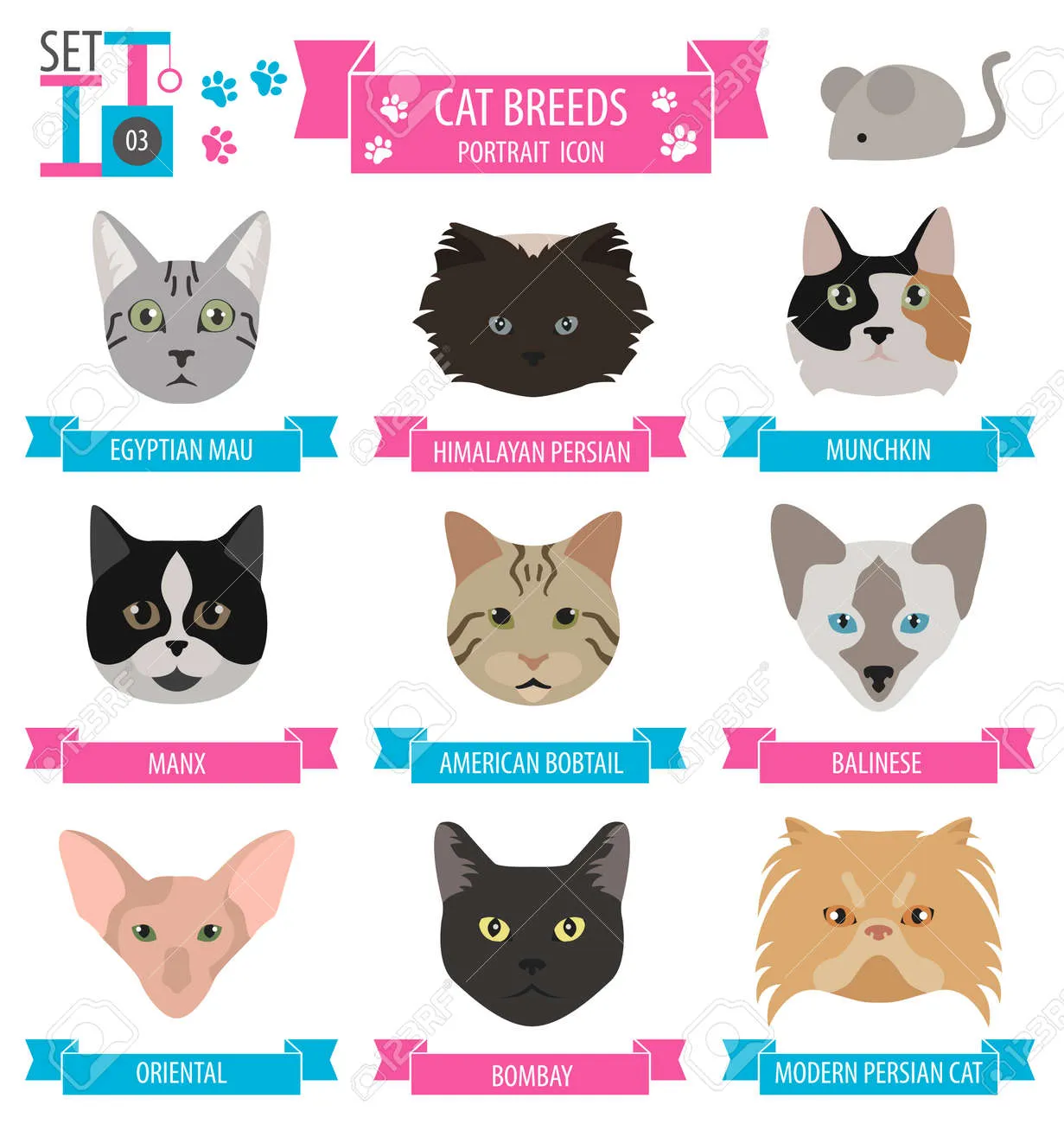 고양이 수명 평균 품종별 집고양이_9