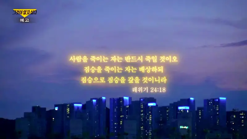 그알 그것이알고싶다 포항 고양이 연쇄 살해 사건 캣맘 불법 먹이 투기 행위 반대 캣 프레데터 강력 살인 범죄 징조 사례 1318회