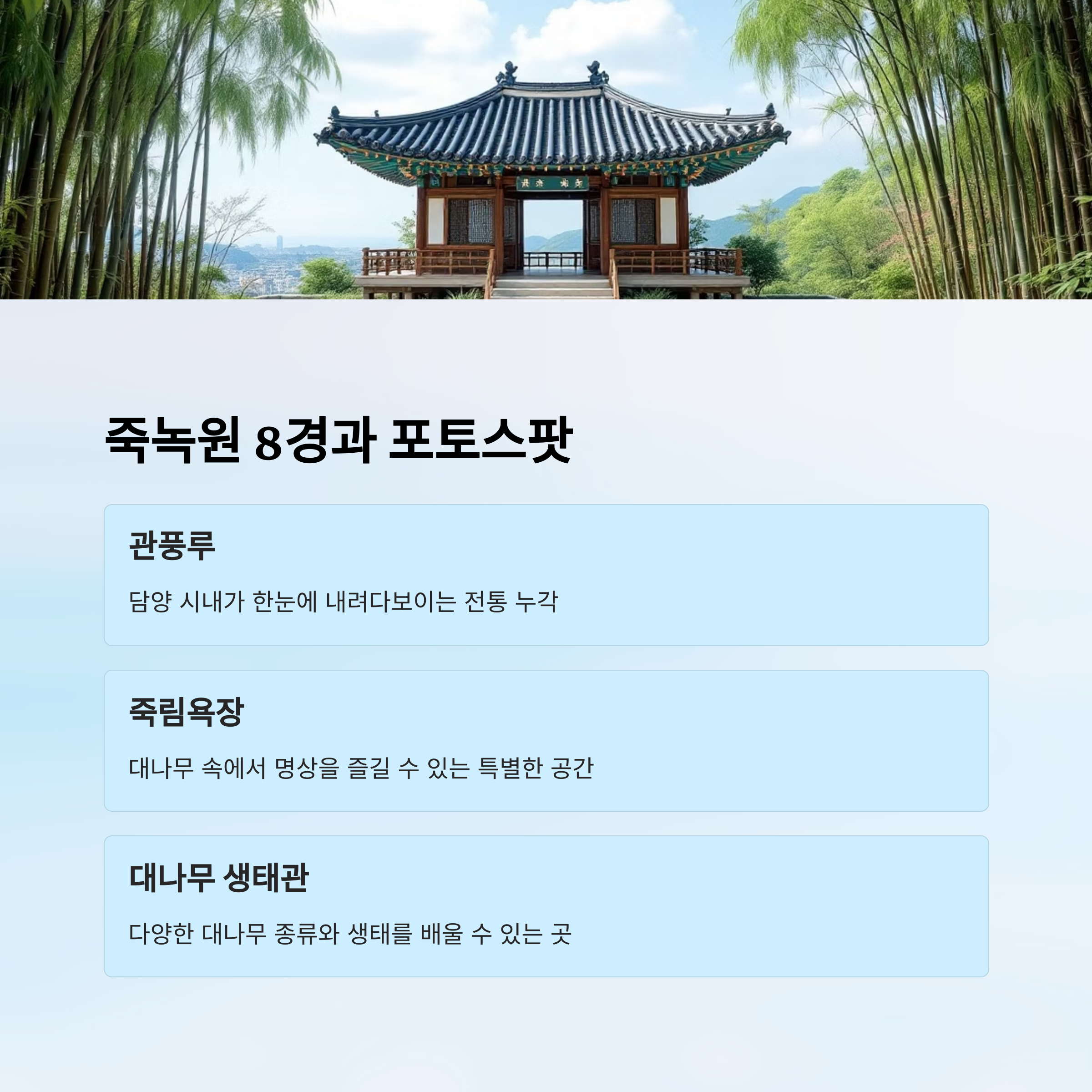 담양 죽녹원에서 만나는 대나무숲의 고요한 힐링 여행