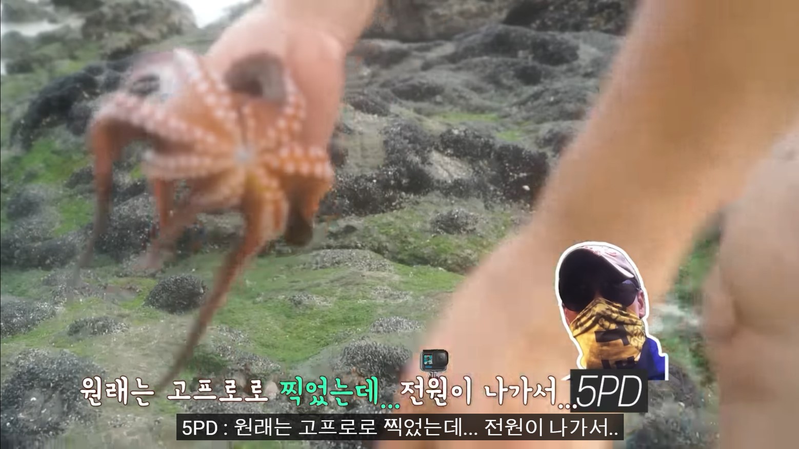 정글 크래프트로 8회 문어 잡는 김병만