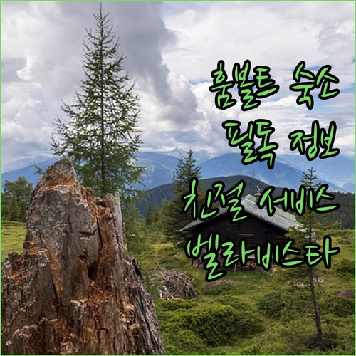 훔볼트 여행객 필독 벨라 비스타 인 ..