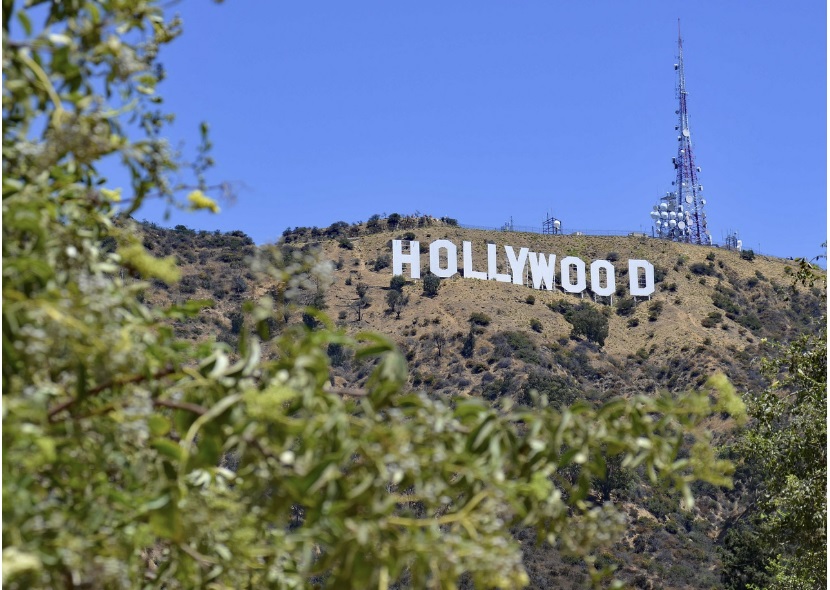 헐리우드 산 사진