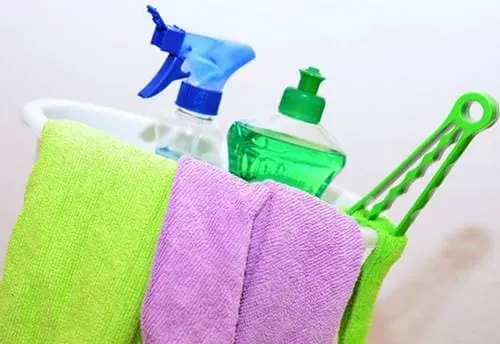 곰팡이 제거 비용