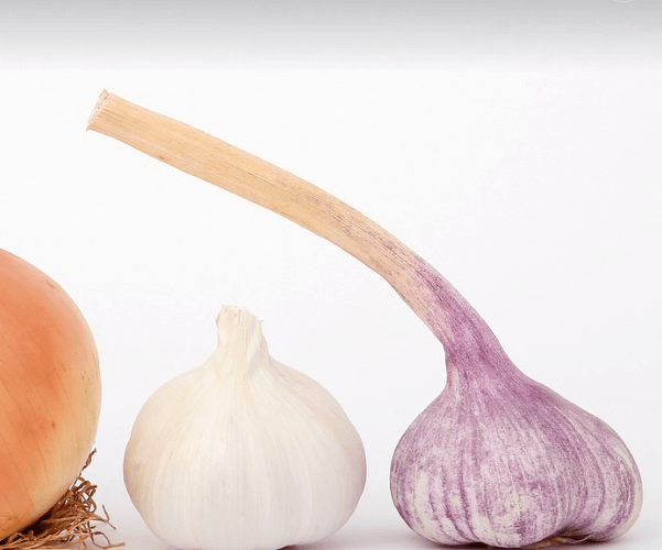 폐에 좋은 음식