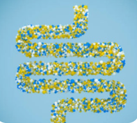 부모님 영양제 추천 영양소 유산균