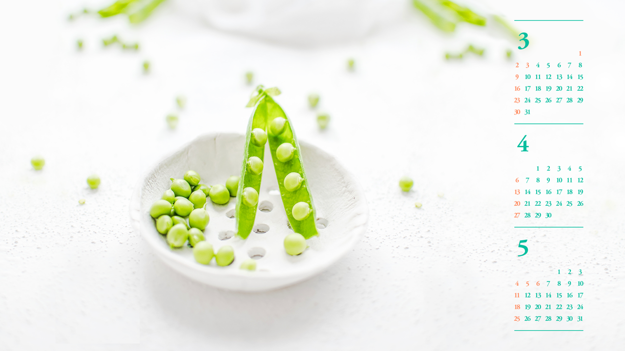 08 완두콩 B - 2025년4월 노트북배경화면
