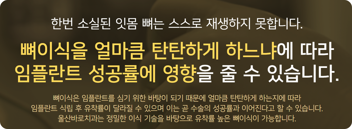 설명문
