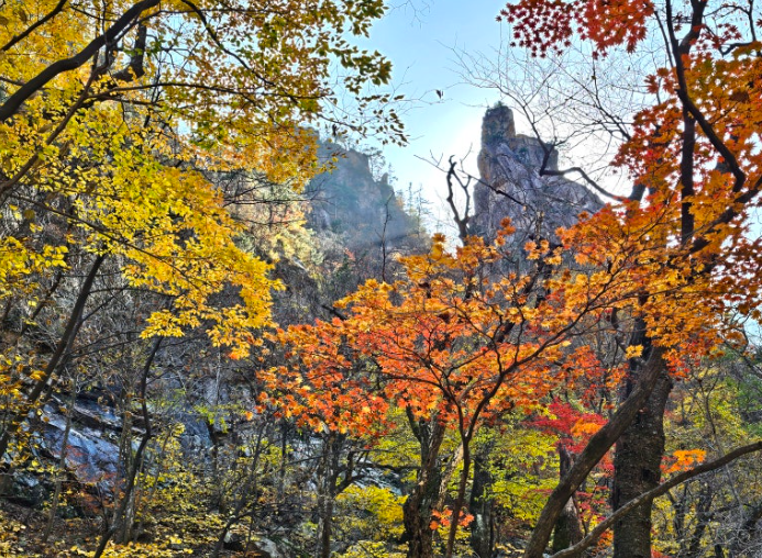 설악산 천불동 계곡 단풍길