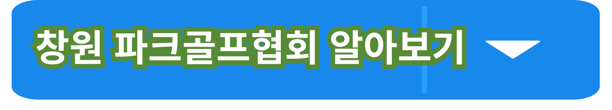 창원 파크골프협회 – 건강과 즐거움을 동시에!