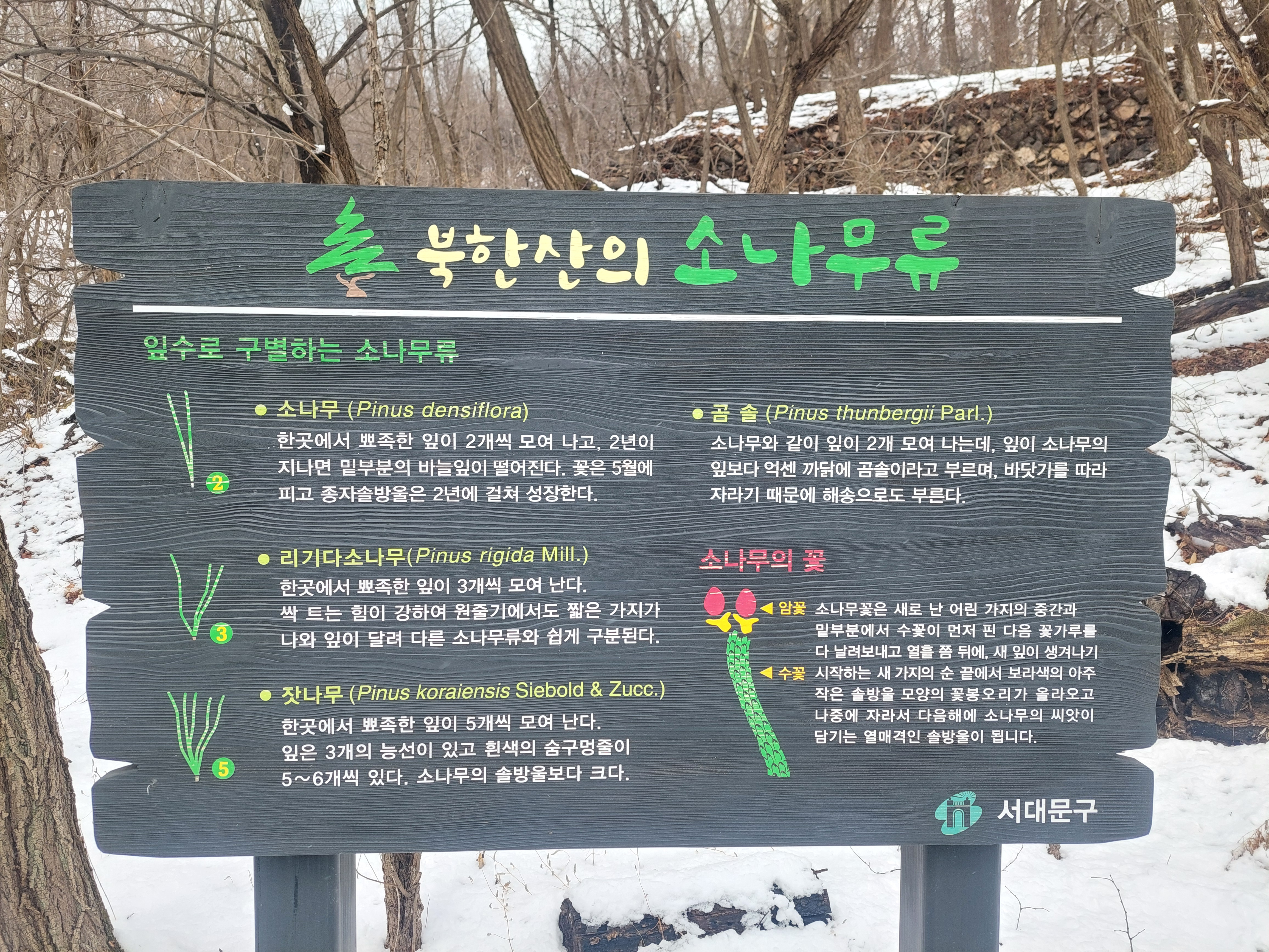 북한산 자락길