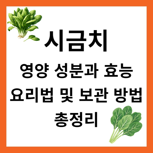 시금치의 영양 성분과 효능, 요리법 및 보관 방법 총정리