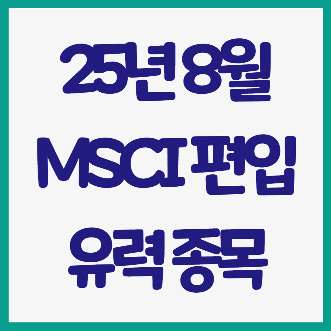 25년 8월 MSCI 편입 유력 종목