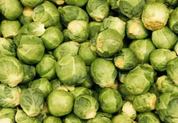 양배추 효능 및 부작용, 영양성분