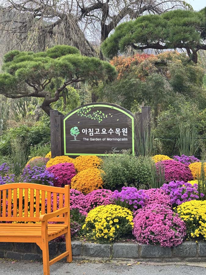 가을빛 가득한 아침고요수목원