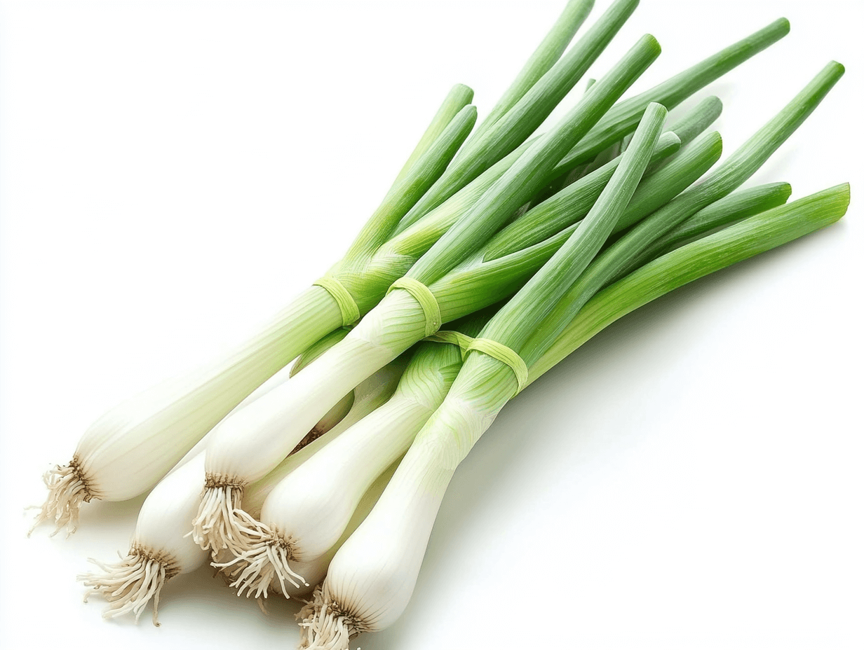 양신료 및 부재료