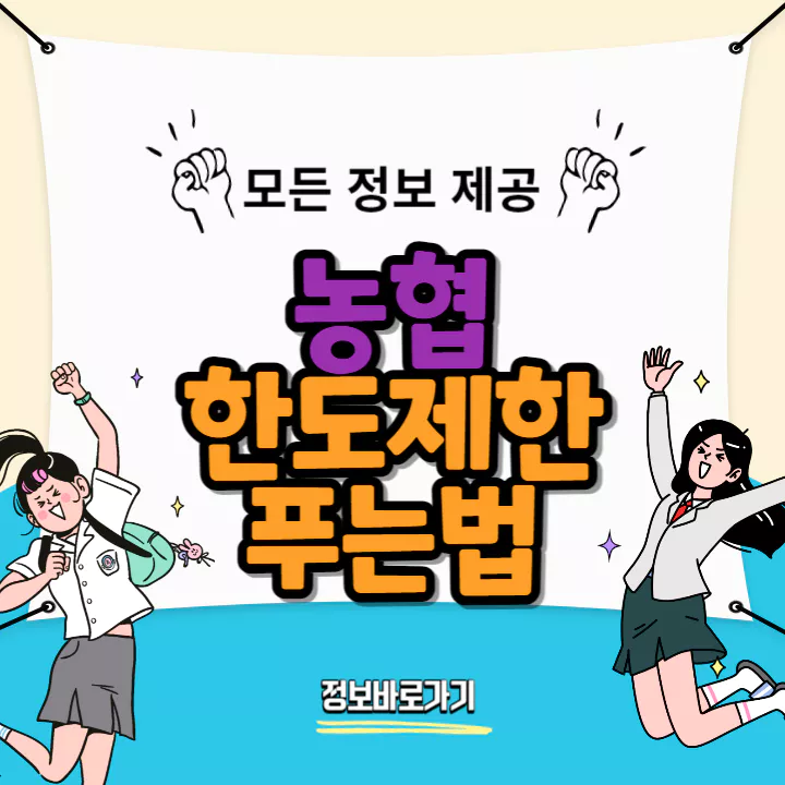 농협-한도제한-푸는법