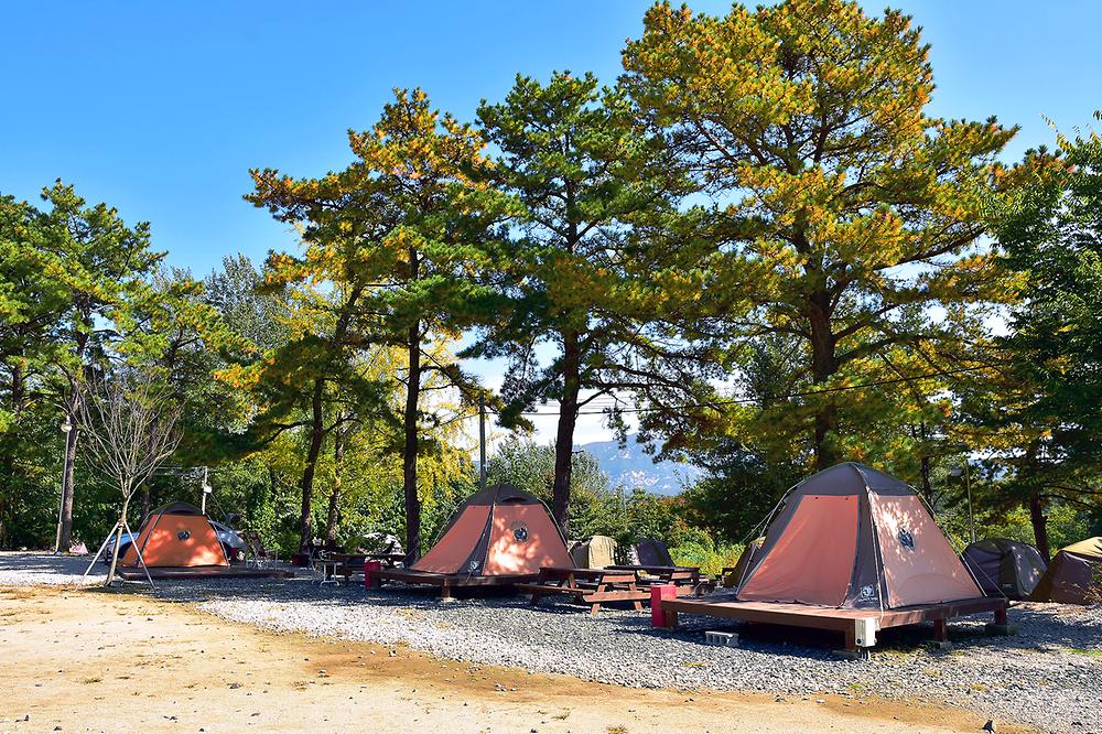 포천자연마을 서울캠핑장 예약