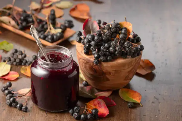 아로니아 효능 총정리|눈 건강·피부·혈관 개선 효과와 부작용까지