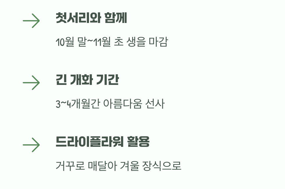서리가 내릴 때, 비로소 작별 인사