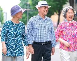 기초연금 관련사진