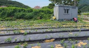 농촌 체류형 쉼터 도입 소개