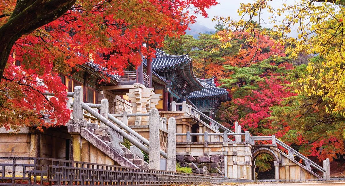 가을 경주 여행 가볼만한곳 베스트 10으로 정리_5