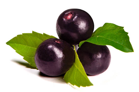 아사이베리 효능