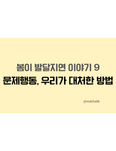 자폐문제행동대처