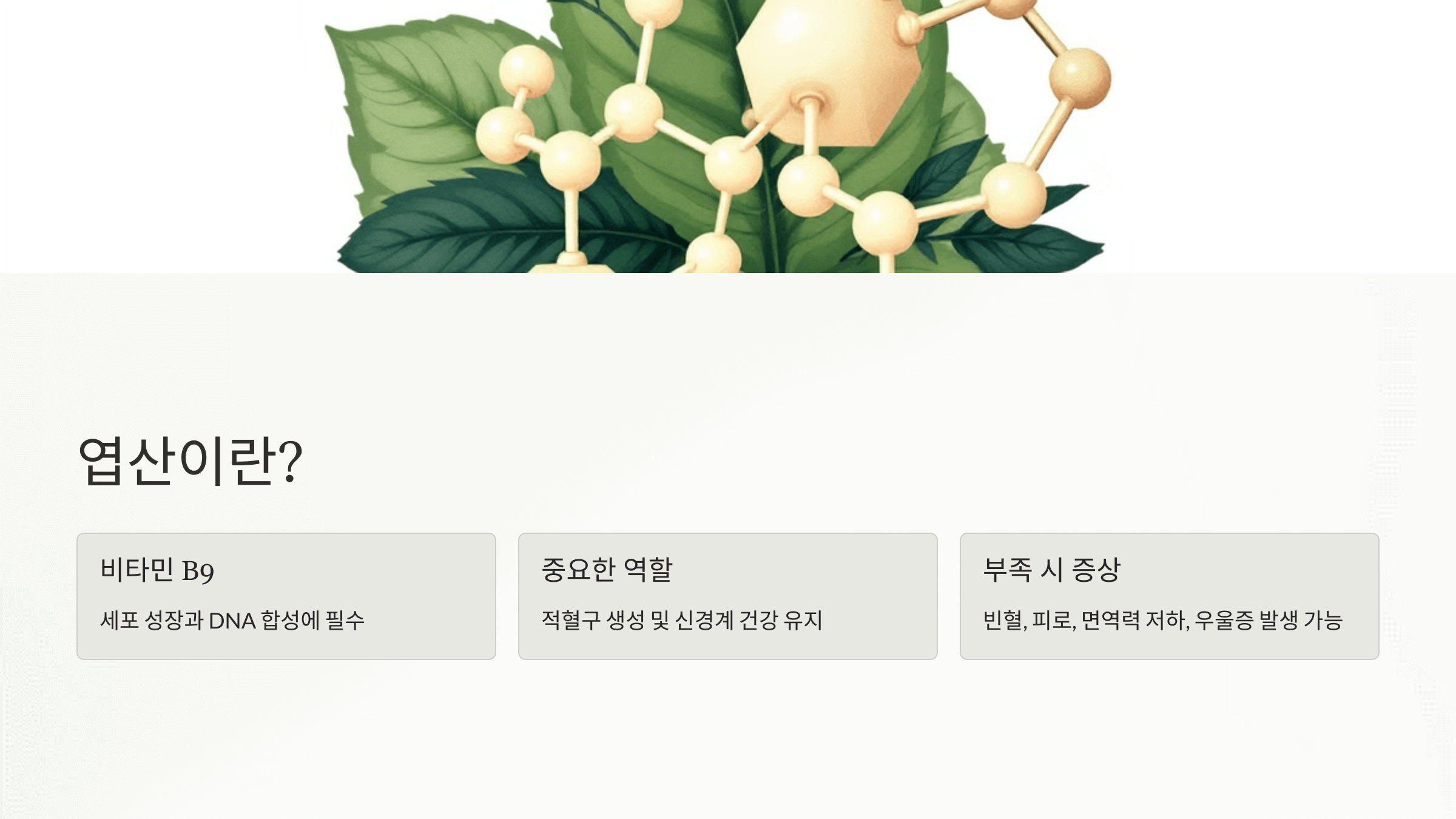 엽산과 관련된 사진입니다.