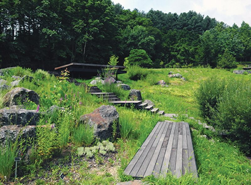 포천 국립수목원 광릉수목원 예약