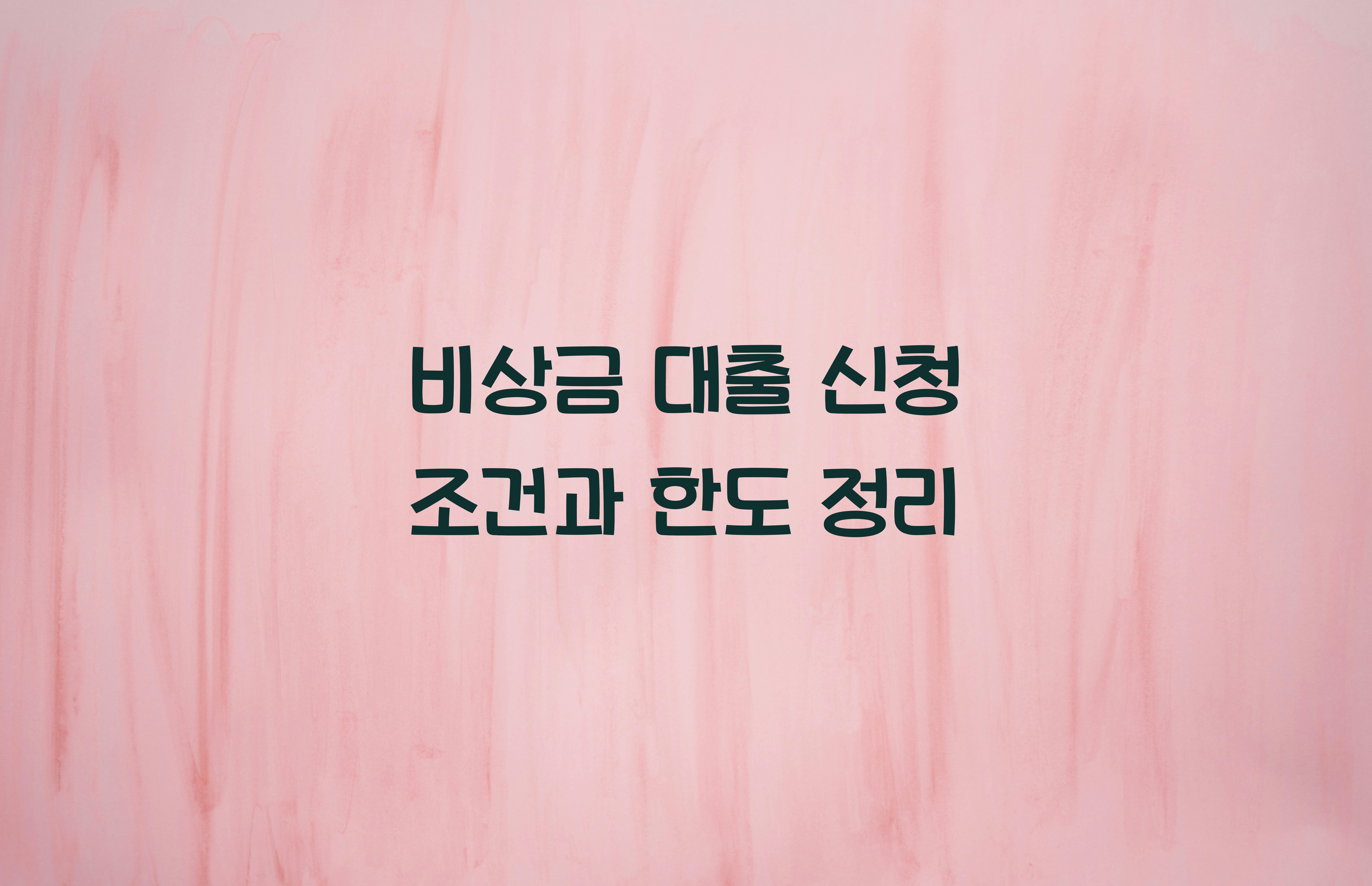 비상금 대출 신청