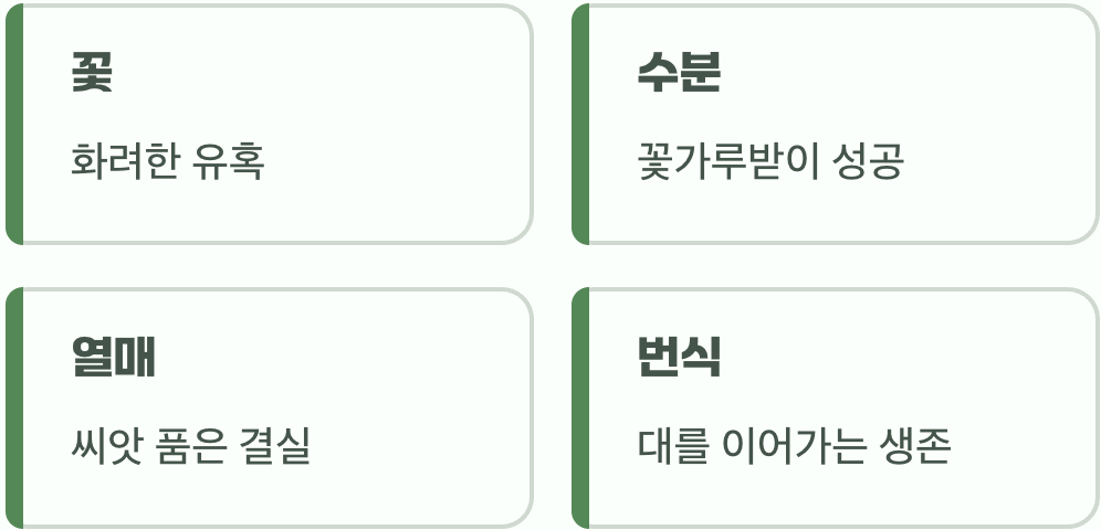 화려한 변신의 최종 목표