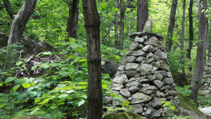 동해 가볼만한곳