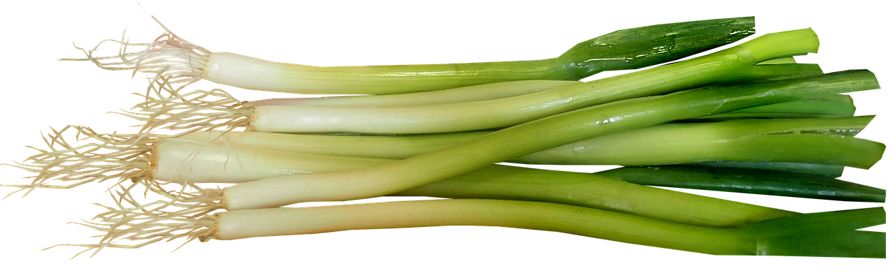 대파