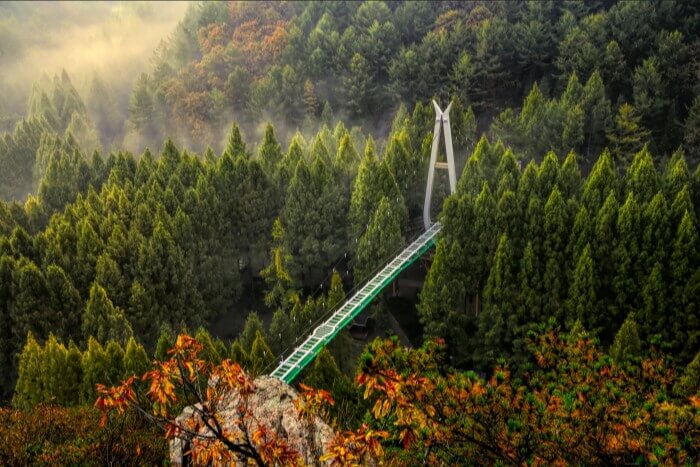 장태산자연휴양림 출렁다리