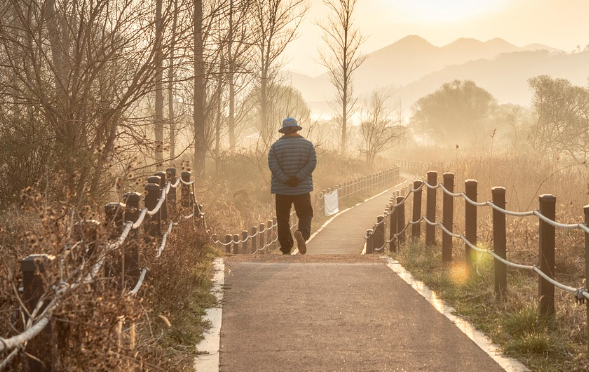 고령화-어르신-좋은음식-건강한조리법-단백질-칼슘-비타민-식이섬유-불포화지방산