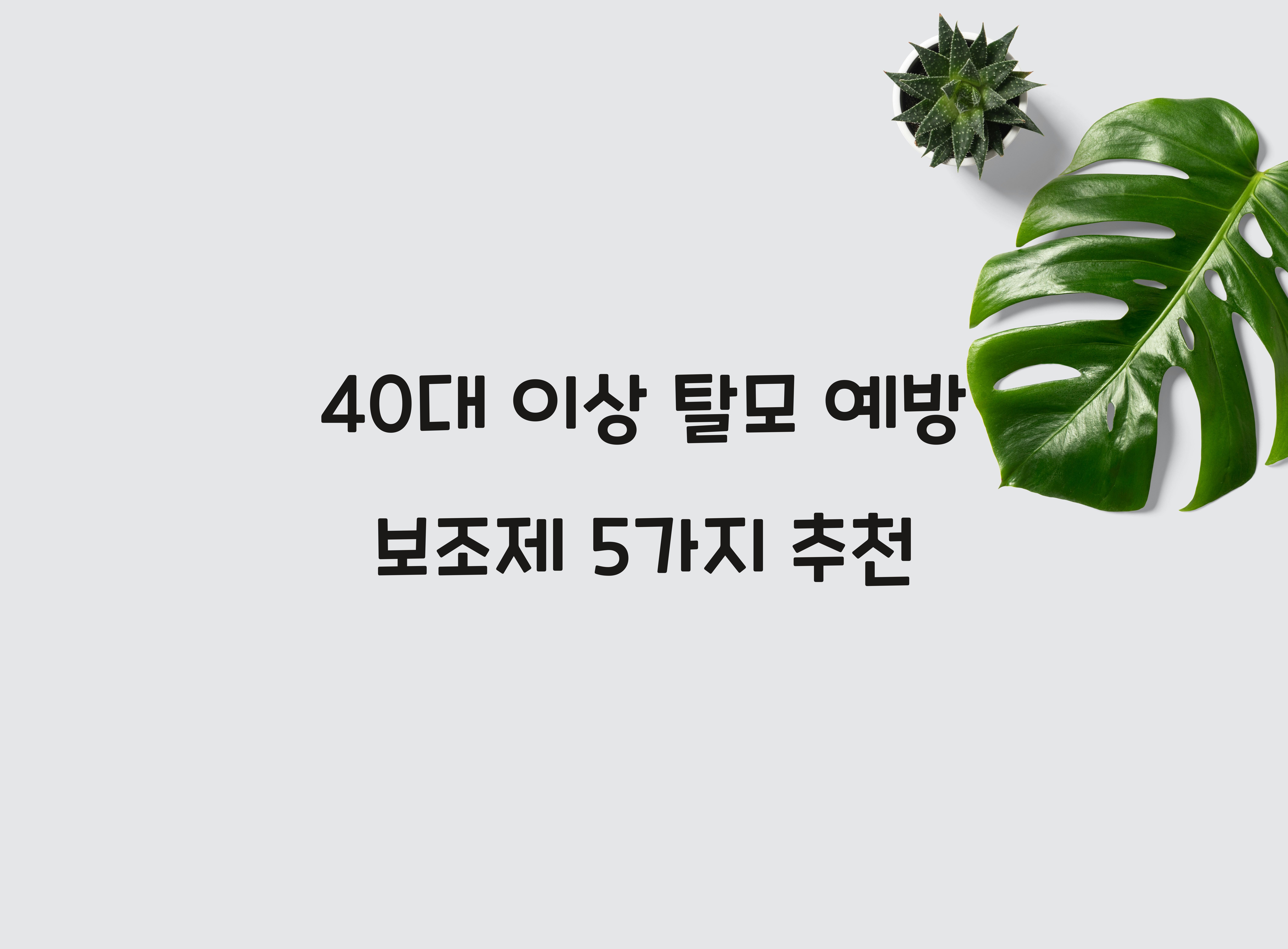 40대 이상 탈모 예방 보조제