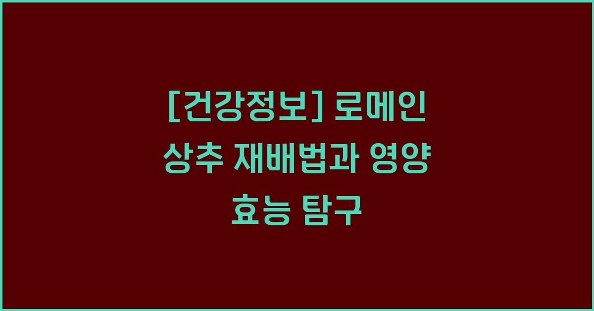 [건강정보] 로메인 상추 재배