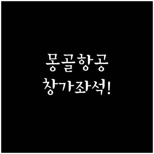 몽골항공 온라인 체크인 시간과 방법 ..