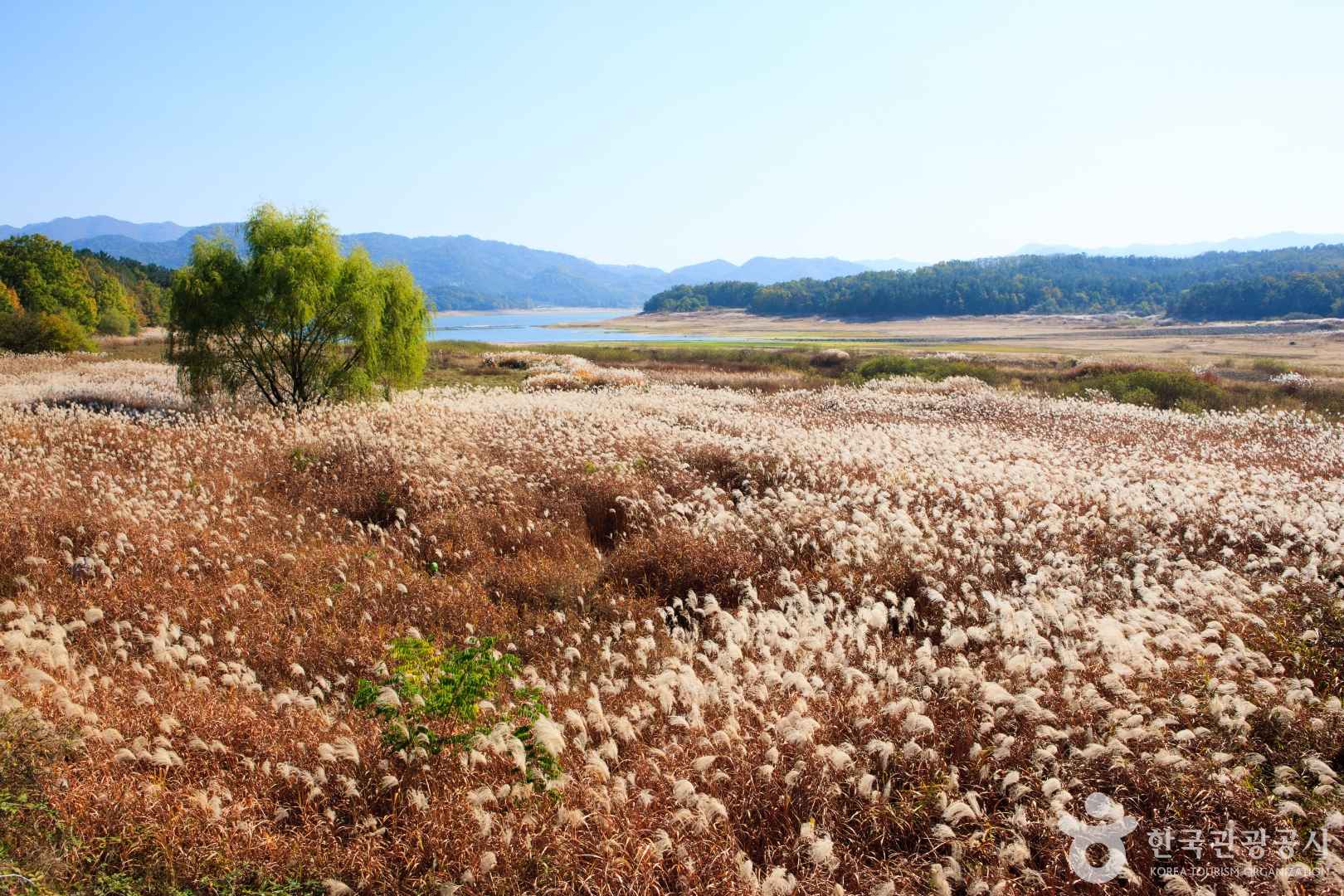 대청호오백리길