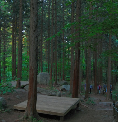 '100억송이' 가을꽃