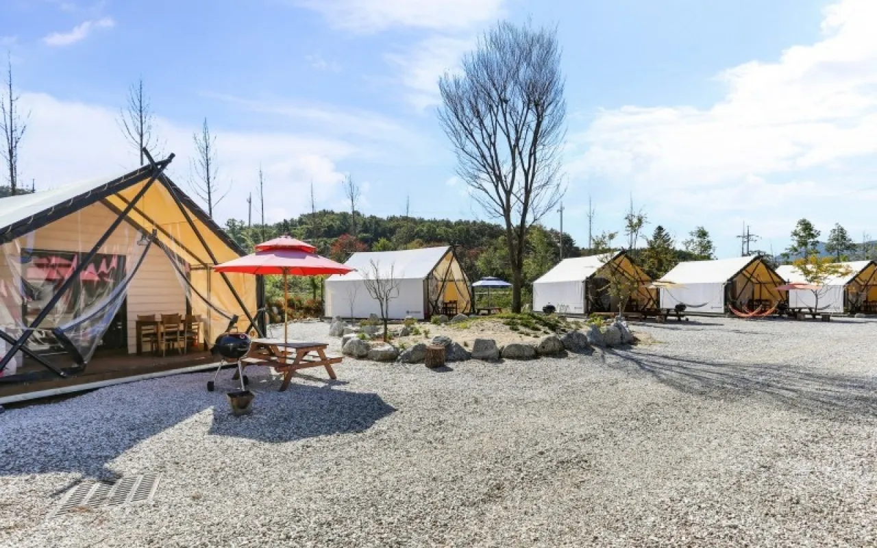 포천애견글램핑 포천 애견식당 당일치기 글램핑 해피캠핑 바베큐 바우어캠프 포천 완벽 체험_1