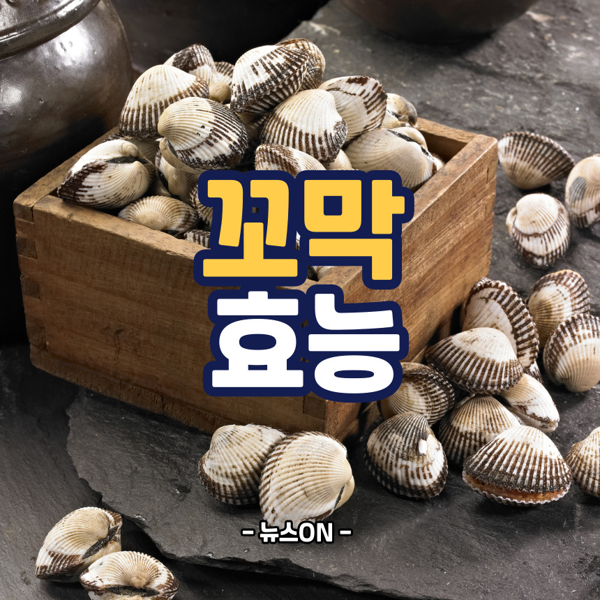 꼬막 효능