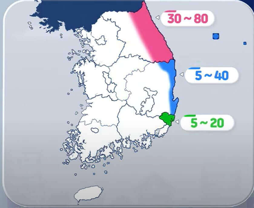 예상 강수량