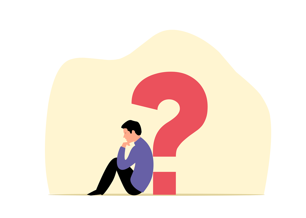 독자의 궁금증을 증폭시키기 위한 사진