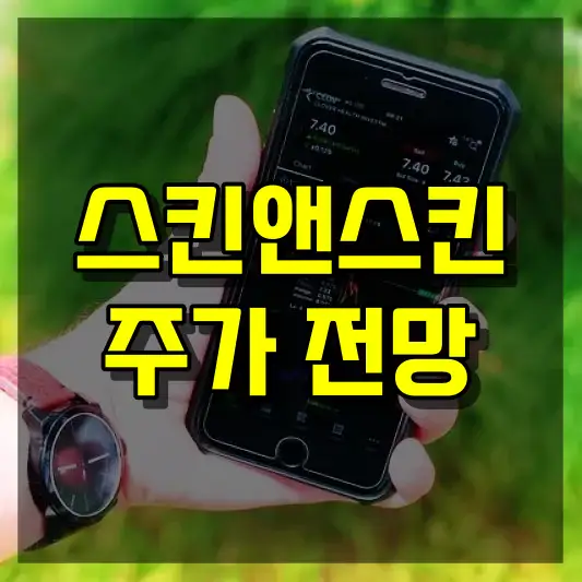 스킨앤스킨 주가 전망