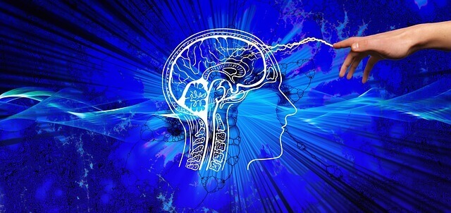mbti-무료-검사하기