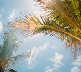 비타민d 하루 권장량 먹는법