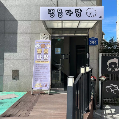 서울&middot;근교 강아지와 함께 갈 수 있는 펫카페 추천 &amp; 방문 꿀팁 총정리